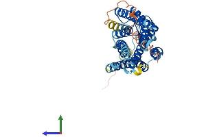 AlphaFold protein structure predicition of Human Recombinant OPN5 Protein, UniprotID Q6U736 (OPN5 Protein (AA 1-354) (His tag))