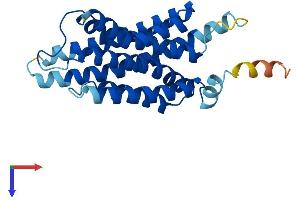 AlphaFold protein structure predicition of Mouse Recombinant Aph1c Protein, UniprotID Q9DCZ9 (APH1C Protein (AA 1-258) (His tag))