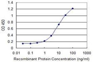 Detection limit for recombinant GST tagged FIP1L1 is 0. (FIP1L1 antibody  (AA 1-378))