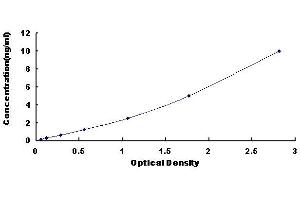 Typical standard curve (PTF1A ELISA Kit)