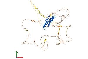 Protein Structure (PS) image for BCL2-Associated Athanogene 4 (BAG4) (AA 1-457) protein (His tag) (ABIN7559364)