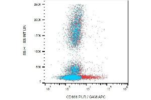 Surface staining of human peripheral blood cells using anti-CD161 (HP-3G10) purified, GAM-APC. (CD161 antibody)