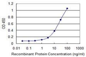 Detection limit for recombinant GST tagged IP6K2 is 0. (IP6K2 antibody  (AA 1-70))