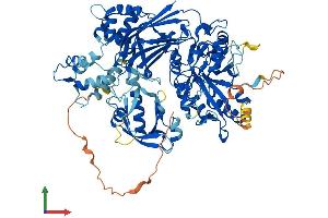 AlphaFold protein structure predicition of Mouse Recombinant Plcd3 Protein, UniprotID Q8K2J0 (Phospholipase C delta 3 Protein (PLCd3) (AA 1-785) (His tag))