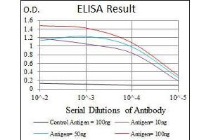 Black line: Control Antigen (100 ng), Purple line: Antigen(10 ng), Blue line: Antigen (50 ng), Red line: Antigen (100 ng), (Fibronectin 1 antibody)