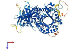 glycerophosphocholine phosphodiesterase GDE1 Homolog (GPCPD1) (AA 1-672) protein (His tag)