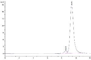 Size-exclusion chromatography-High Pressure Liquid Chromatography (SEC-HPLC) image for Killer Cell Lectin-Like Receptor Subfamily B, Member 1 (KLRB1) (AA 67-227) protein (His-Avi Tag,Biotin) (ABIN7274062)
