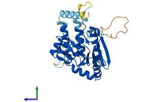 AlphaFold protein structure predicition of Mouse Recombinant Eci3 Protein, UniprotID Q78JN3 (Eci3 Protein (AA 1-317) (His tag))