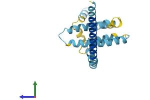 AlphaFold protein structure predicition of Mouse Recombinant Reep5 Protein, UniprotID Q60870 (REEP5 Protein (AA 1-185) (His tag))