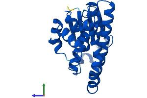 AlphaFold protein structure predicition of Mouse Recombinant Gstp2 Protein, UniprotID P46425