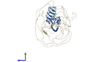 AlphaFold protein structure predicition of Human Recombinant SYCP2 Protein, UniprotID Q9BX26 (SYCP2 Protein (AA 1-1530) (His tag))