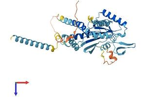 Protein Structure (PS) image for Septin 5 (SEPT5) (AA 1-369) protein (His tag) (ABIN7546076)