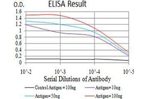 Black line: Control Antigen (100 ng);Purple line: Antigen (10ng); Blue line: Antigen (50 ng); Red line:Antigen (100 ng) (BNIP3 antibody  (AA 50-155))