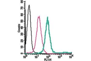 Cell surface detection of NK1R in live intact human  monocytic leukemia cells:___ Cells. (TACR1 antibody  (Extracellular) (FITC))