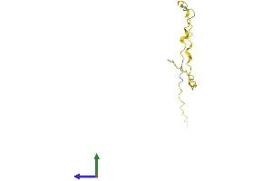 AlphaFold protein structure predicition of Human Recombinant KAAG1 Protein, UniprotID Q9UBP8 (KAAG1 Protein (AA 1-84) (Fc Tag))