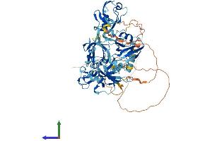 AlphaFold protein structure predicition of Mouse Recombinant Lnx2 Protein, UniprotID Q91XL2 (LNX2 Protein (AA 1-687) (His tag))