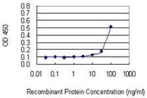 Detection limit for recombinant GST tagged ZNF253 is 3 ng/ml as a capture antibody. (ZNF253 antibody  (AA 91-180))
