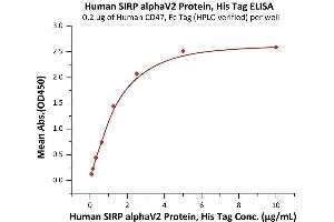 Immobilized Human CD47, Fc Tag (Hied) (ABIN2180806,ABIN2180805) at 2 μg/mL (100 μL/well) can bind Human SIRP alphaV2 Protein, His Tag (ABIN6973268) with a linear range of 0.