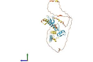 AlphaFold protein structure predicition of Human Recombinant ZNF367 Protein, UniprotID Q7RTV3 (ZNF367 Protein (AA 1-350) (His tag))