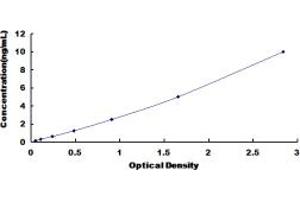 OAZ1 ELISA Kit