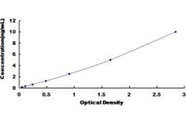 OAZ1 ELISA Kit