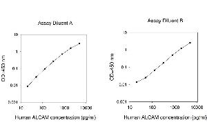 ELISA image for Activated Leukocyte Cell Adhesion Molecule (ALCAM) ELISA Kit (ABIN625246) (CD166 ELISA Kit)