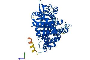 Protein Structure (PS) image for Tubulin, beta 2C (TUBB2C) (AA 1-445) protein (His tag) (ABIN7544267)