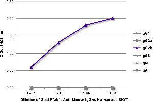 ELISA plate was coated with purified mouse IgG1, IgG2a, IgG2b, IgG3, IgM, and IgA. (Goat anti-Mouse IgG2b Antibody (Biotin) - Preadsorbed)