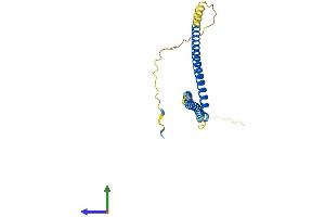 AlphaFold protein structure predicition of Human Recombinant CCDC169 Protein, UniprotID A6NNP5 (CCDC169 Protein (AA 1-214) (His tag))