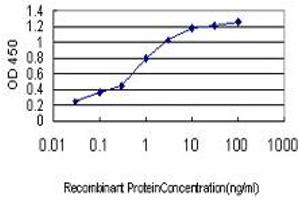 Detection limit for recombinant GST tagged MAP4K4 is approximately 0. (MAP4K4 antibody  (AA 611-710))