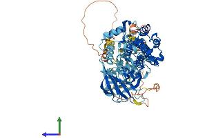 AlphaFold protein structure predicition of Human Recombinant RPS6KA3 Protein, UniprotID P51812 (RPS6KA3 Protein (AA 1-740) (His tag))
