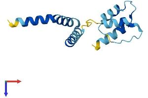 AlphaFold protein structure predicition of Human Recombinant EFCAB10 Protein, UniprotID A6NFE3