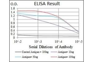 ELISA image for anti-Low Density Lipoprotein Receptor-Related Protein 5 (LRP5) antibody (ABIN1108063) (LRP5 antibody)
