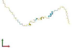 AlphaFold protein structure predicition of Mouse Recombinant Pkib Protein, UniprotID Q04758 (PKIB Protein (AA 1-92) (Fc Tag))