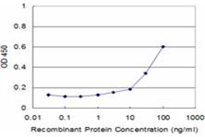 Detection limit for recombinant GST tagged NPY is approximately 3ng/ml as a capture antibody. (NPY antibody  (AA 29-97))