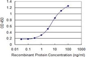 Detection limit for recombinant GST tagged PCDHA7 is 0. (PCDHA7 antibody  (AA 143-241))