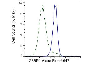 Validation of G3BP1 knockdown using flow cytometry.