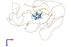Elf4 Protein (AA 1-663) (His tag)