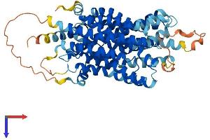 Transmembrane Protein 180 (TMEM180) (AA 1-519) protein (His tag)