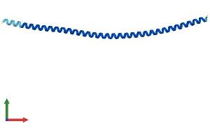 AlphaFold protein structure predicition of Human Recombinant ANKRD36BP1 Protein, UniprotID Q96IX9 (ANKRD36BP1 Protein (AA 1-119) (His tag))