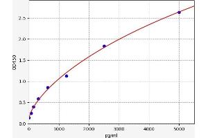 Typical standard curve (SCAMP1 ELISA Kit)