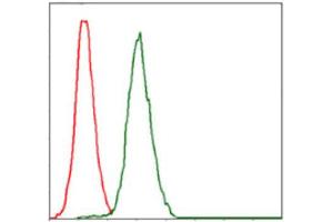 Flow Cytometry (FACS) image for anti-Replication Protein A1, 70kDa (RPA1) antibody (ABIN1846411)