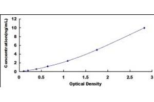 Typical standard curve (ENPP7 ELISA Kit)