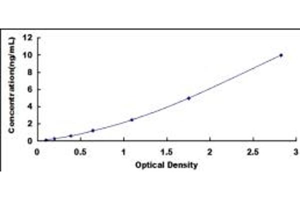 ENPP7 ELISA Kit