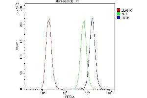 Flow Cytometry analysis of A431 cells using anti-TANK antibody (ABIN6719508). (TANK antibody)