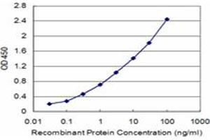 Detection limit for recombinant GST tagged AKAP6 is approximately 0. (AKAP6 antibody  (AA 2221-2318))