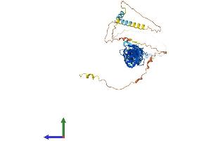 Protein Structure (PS) image for Transforming Growth Factor beta 1 Induced Transcript 1 (TGFB1I1) (AA 1-461) protein (His tag) (ABIN7563954)