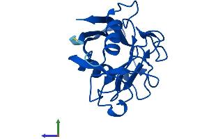 AlphaFold protein structure predicition of Human Recombinant PPIAL4A Protein, UniprotID Q9Y536 (PPIAL4A Protein (AA 1-164) (His tag))