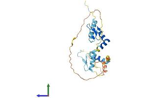 AlphaFold protein structure predicition of Human Recombinant SCNM1 Protein, UniprotID Q9BWG6 (SCNM1 Protein (AA 1-230) (His tag))