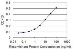 Detection limit for recombinant GST tagged DUSP1 is 0. (DUSP1 antibody  (AA 305-367))